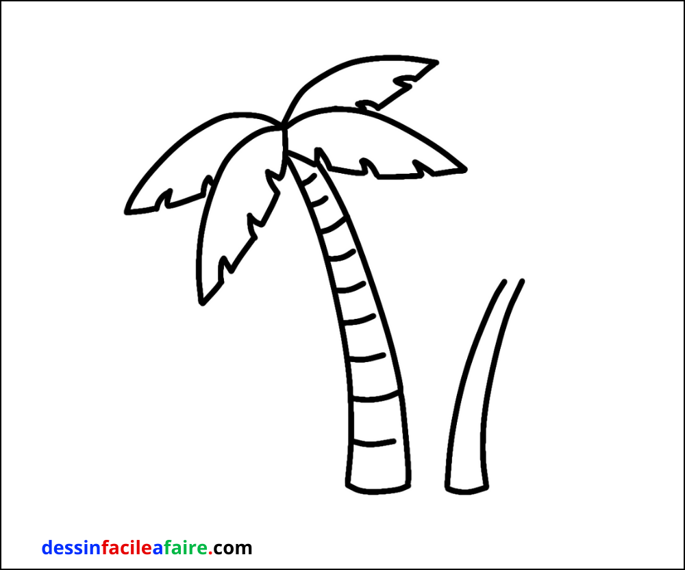 dessiner une palmier