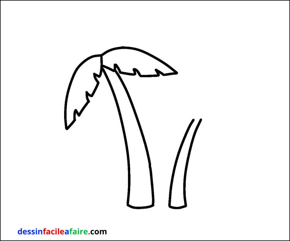 dessiner une palmier