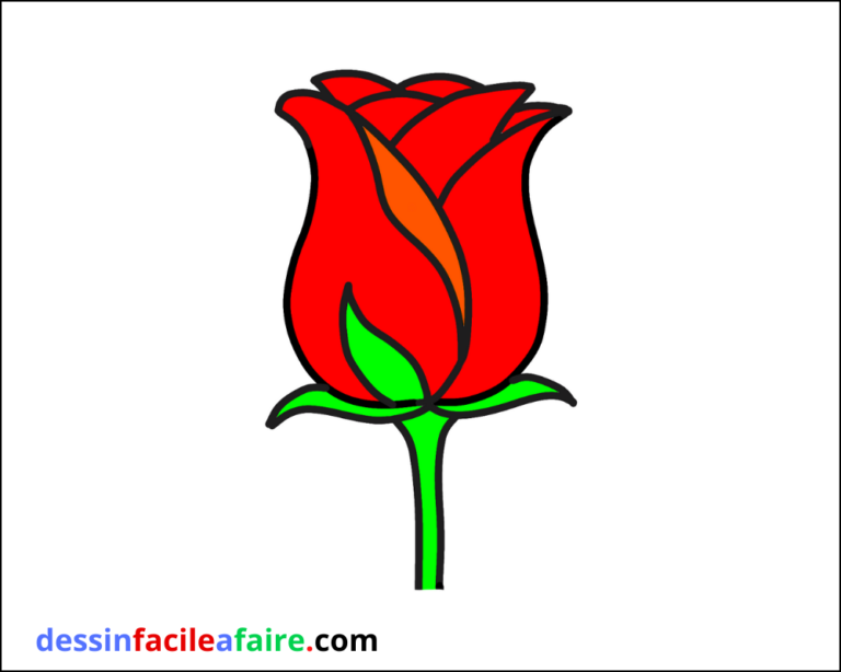 Comment Dessiner Une Rose Facile Dessin Facile A Faire Comment Dessiner Une Rose Facile Dessin Facile A Faire
