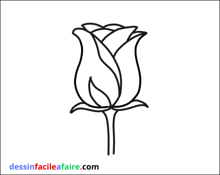 Comment Dessiner Une Rose Facile Dessin Facile A Faire Comment Dessiner Une Rose Facile Dessin Facile A Faire