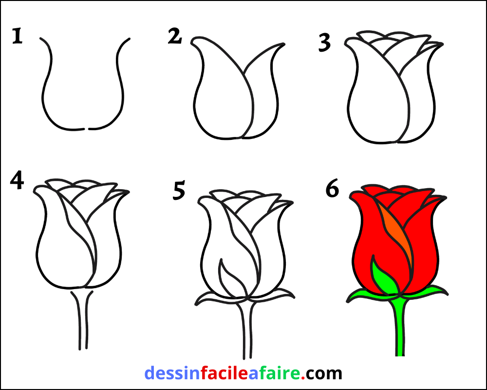 comment dessiner une rose facile - Dessin facile a faire