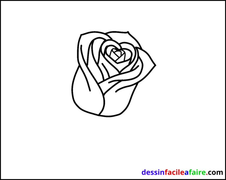 Comment dessiner une rose facilement - Dessin facile a faire