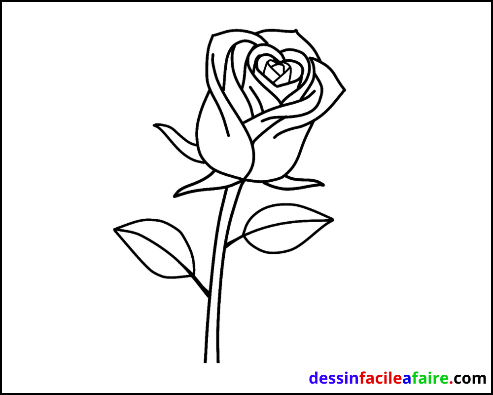 Comment Dessiner Une Rose Facilement Dessin Facile A Faire