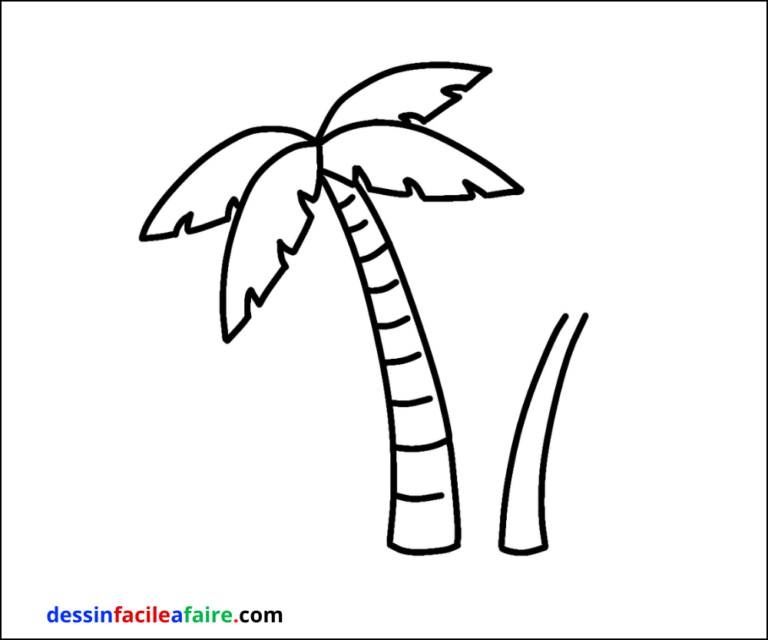 Sitemapcdatahttpsshopinf Inetcomdessiner Un Palmier